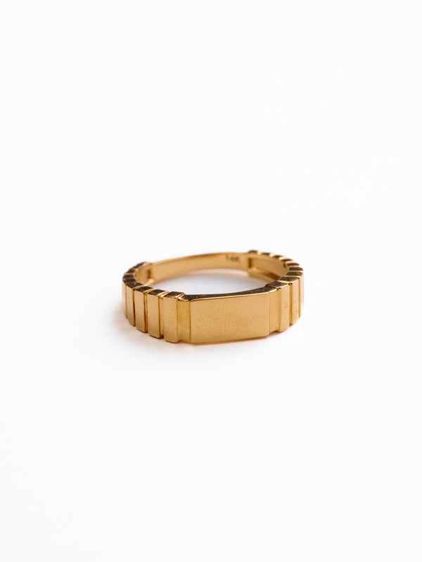 James Groove Signet Ring in 14k solid gold